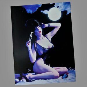 ELVIRA Mistress Of The Dark Wall Poster Halloween Vampire Decor